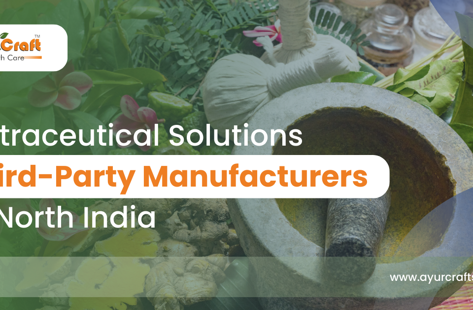 Nutraceutical solutions third-party manufacturers in North India
