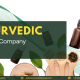 Ayurvedic product company in India blog featured image